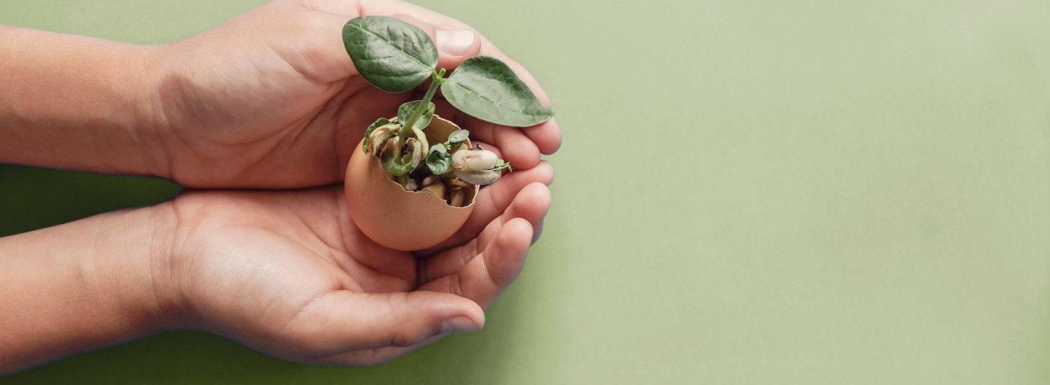 Auf grünem Untergrund halten zwei Hände beschützend ein Ei, aus welchem eine Pflanze wächst.