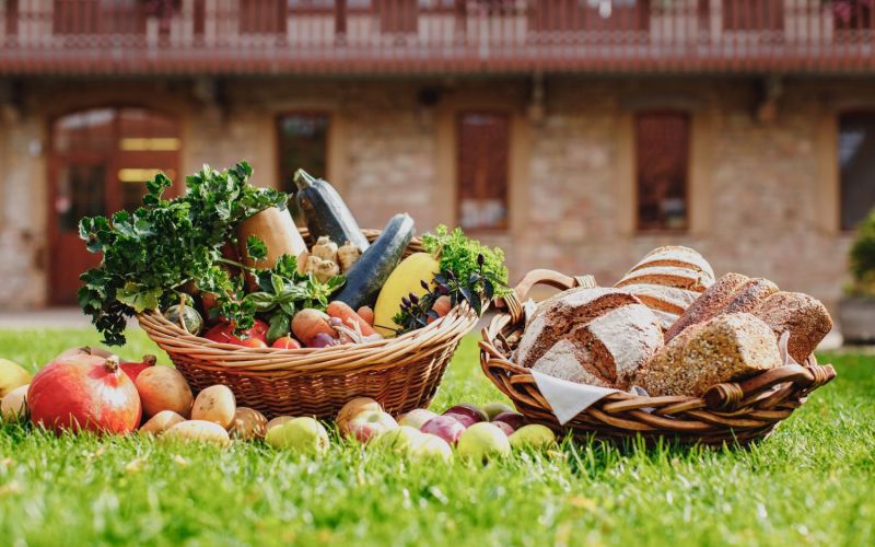 Auf einer Wiese steht ein Korb mit frischem Gemüse und ein Korb mit Brot.